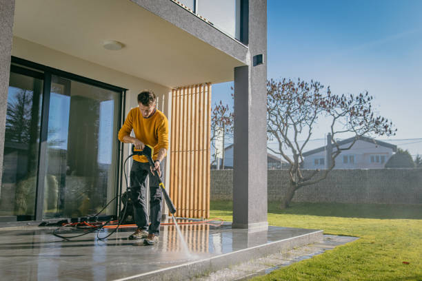 Best Pre-Holiday Cleaning  in Eslon, CA